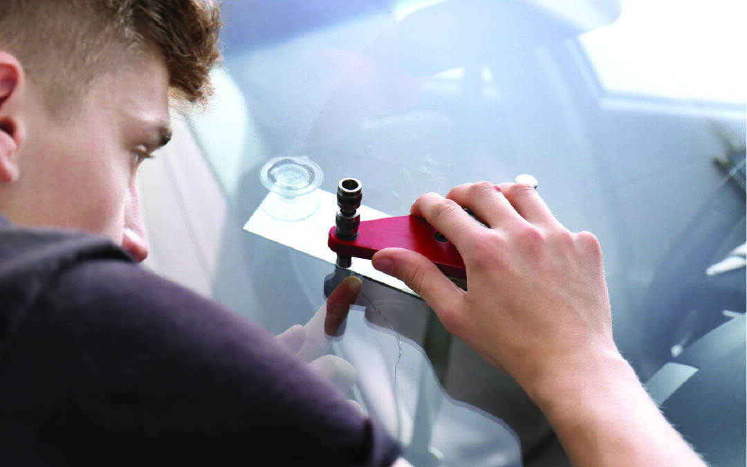 What differentiates a professional windscreen repairer?
